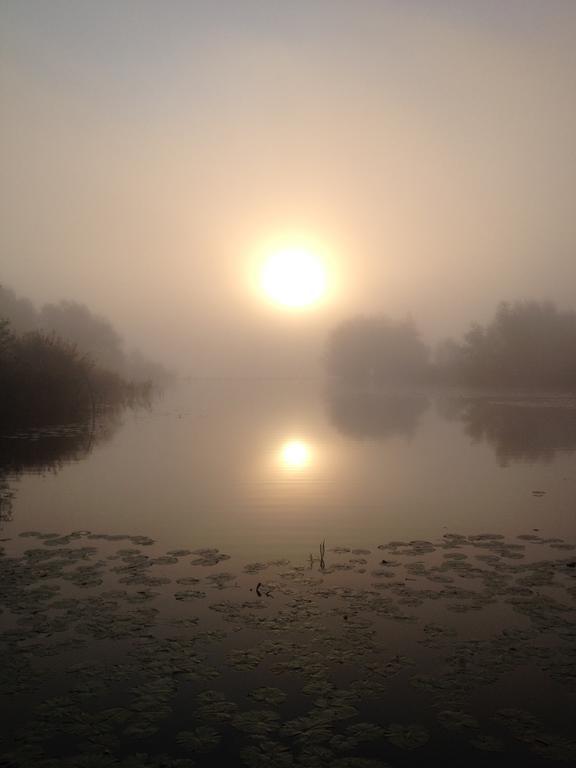Studio Lakeside Spiegelplas Nederhorst den Berg Стая снимка