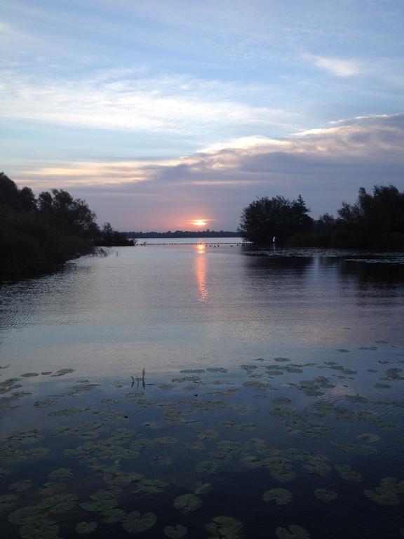 Studio Lakeside Spiegelplas Nederhorst den Berg Стая снимка