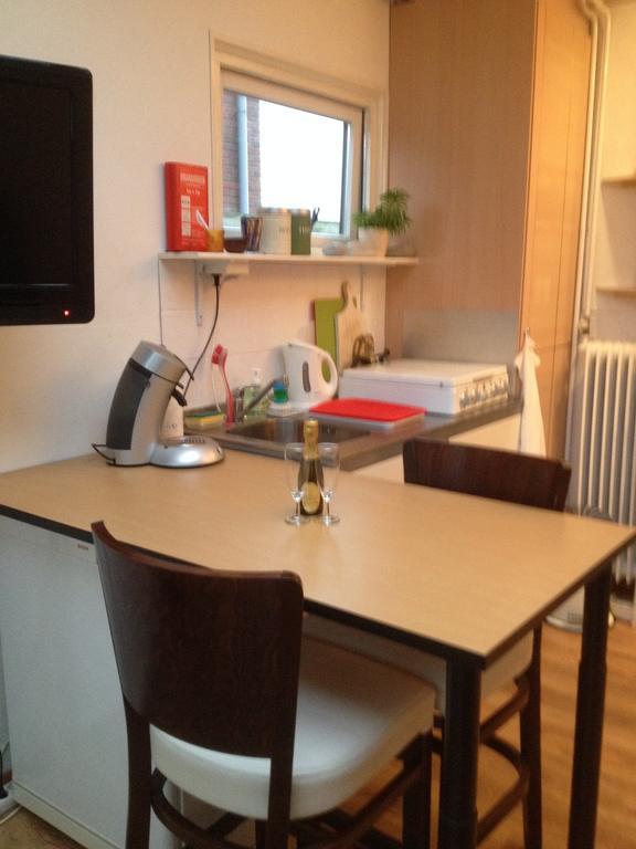 Studio Lakeside Spiegelplas Nederhorst den Berg Екстериор снимка